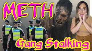 The World of METH and GANG STALKING