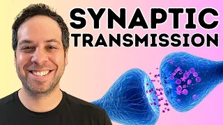 Synaptic transmission I The Synapse I How Neurons Communicate