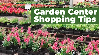 🌼 How To Choose the Best Plants to Buy | Garden Center Shopping Tips 🌼