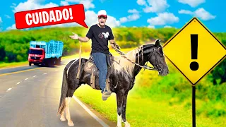 PERIGO !! CAVALO na RODOVIA