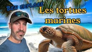 Les tortues marines