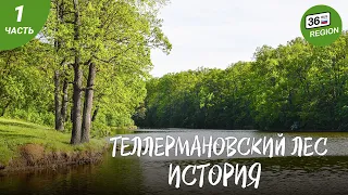 Теллермановский лес. История леса.