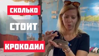 Где живут КРОКОДИЛЫ // Нубийская деревня // Асуан