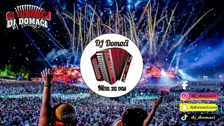 DOMAČA VESELICA MIX / DJ DOMAČI