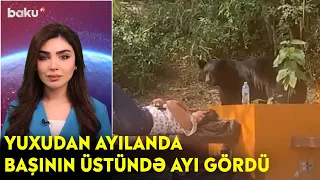 Yuxudan ayılanda başının üstündə ayı gördü - Maraqlı anlar | BAKU TV