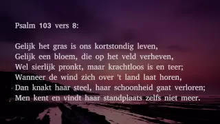 Psalm 103 vers 8 en 9 - Gelijk het gras is ons kortstondig leven