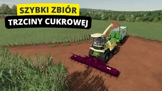 Jak przyspieszyć zbiór trzciny cukrowej - PORADNIK