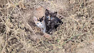 ACHEI 2 PRESENTES ABANDONADOS NO MEIO DA ESTRADA | Impossível passar reto por isso!