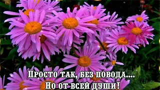 Просто так, без повода… Но от всей души! Красивое пожелание!