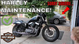 Harley Maintenance 2022! Changed: Oil, Primary and Spark Plugs (2007 Sportster 1200)