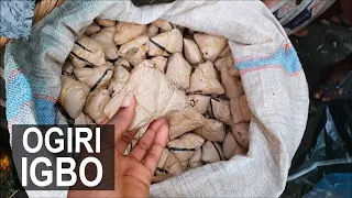 How to Make Ogiri Igbo with Egusi Seeds | Alternative Ogiri Castor Seeds  | Flo Chinyere