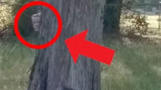 5 CREEPIEST THINGS CAUGHT ON GOOGLE MAPS.