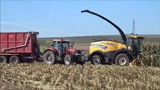 Siláže 2020 / New Holland FR 920 / Služby Martin Zbořil