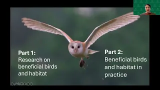 Supporting beneficial birds with native habitat