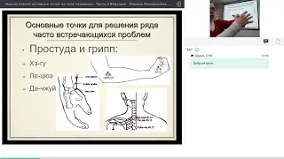 Биологически активные точки на теле человека. Часть II