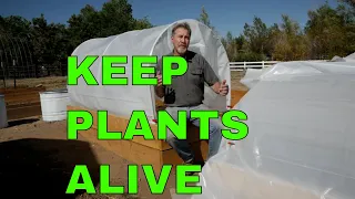 Keep Your Plants Alive in Cold Weather