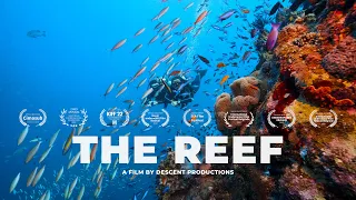 THE REEF | Underwater Short Film with Cinematographer Tom Park