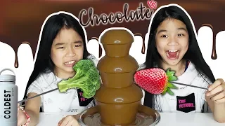 CHOCOLATE FOUNTAIN FONDUE CHALLENGE | Tran Twins