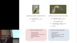 Karl Friston: Active inference and artificial curiosity