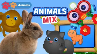 Animals Special | Learn Animals w Robi, Hoot Scoot & What, Shapes School  & More | Names & Sounds