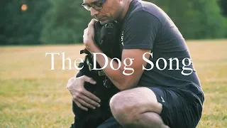 The Dog Song by Dhani Harrison (Netflix's Docuseries "Dogs" main theme)