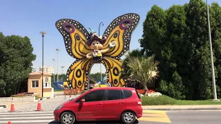 Как провести время в Дубае Сад чудес и Сад бабочек, Дубай  Dubai Butterfly Garden