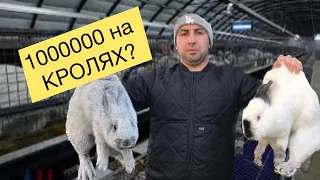 1000000 на КРОЛЯХ, Реально?Кормоцех КС-450 з Ним Трудові будні ЛЕГШІ