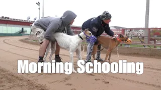 Morning Schooling [4.01]