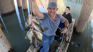 Catching CRAPPIE Under Bridges!! Monster SLABS!! Catch and Cook!