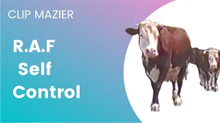 CLIP MAZIER - R.A.F - Self Control