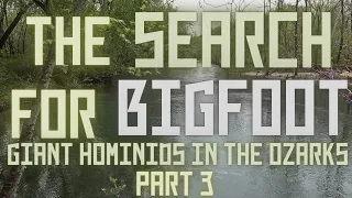 BIGFOOT IN THE OZARKS | UNDERSTANDING BIGFOOT