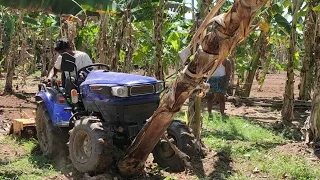 Farmtrac  atom 26hp 4wd banana tree field in swan 4 feet rotavator