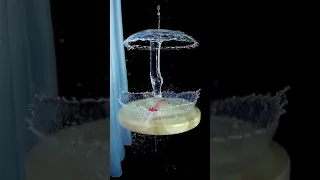 Wow! Water Balloons Look Amazing in Slow Motion Compilation! Satisfying Video #18