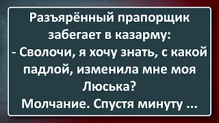 Сволочи! Сборник Изумрудных Анекдотов №113