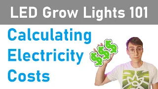 LED Grow Lights 101: Calculating Electricity Costs/Efficiency (Episode 1)