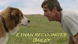 A Dogs Purpose - Ethan recognizes Bailey (HD)