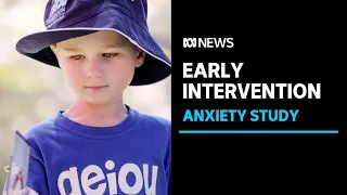 Anxiety, not autism is holding many children back at school, researchers say | ABC News