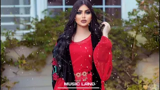 Dynamic Arabic Song To Dance  ( Танцевальные Арабские Песни 2024 ) موسيقى شرقية عربية جديدة