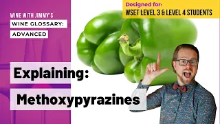 Explaining Wine Terminology: Methoxypyrazines for WSET Levels 3 and 4