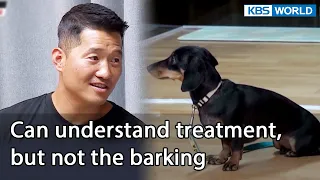 Can understand treatment, but not the barking [Dogs are incredible : EP.137-3] | KBS WORLD TV 220830