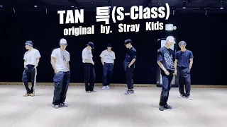 TAN(티에이엔) 주간 아이돌 '특' Dance Practice