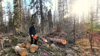 Farming Firewood For Future Fires