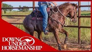 Clinton Anderson: Working With Hot and Busy-Minded Horses - Downunder Horsemanship