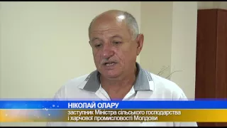 Молдова хоче розширити співпрацю з Полтавщиною в аграрній сфері