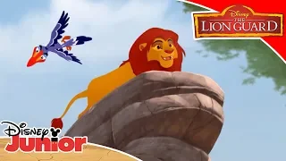 🥁 Super Savannah Songs | The Lion Guard | Disney Channel Africa
