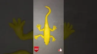 how to make play- doh lizard # short video