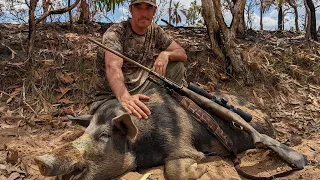 Hunting Pigs On Public Land