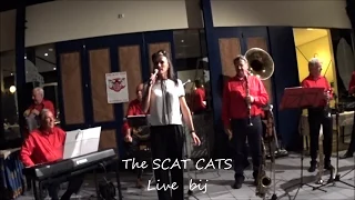 The SCAT CATS live in Bronbeek Arnhem