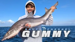 The GUMMY Grind - South Channel, Port Phillip Bay