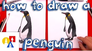 How To Draw A Realistic Emperor Penguin